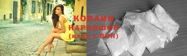 mdpv Богородск